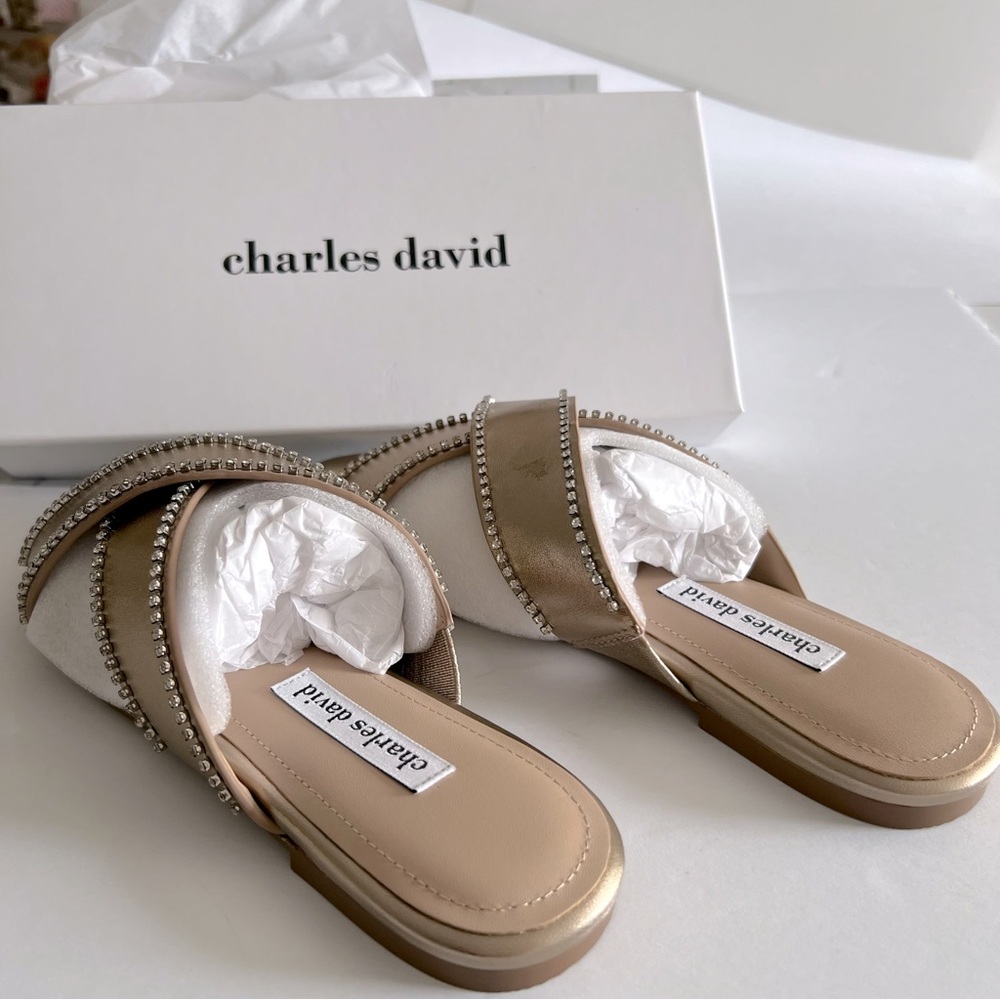 CHARLES DAVID KENYA EMBELLISHED METALLIC LEATHER FLAT SANDALS SIZE 9 NEW IN BOX - Picture 8 of 12